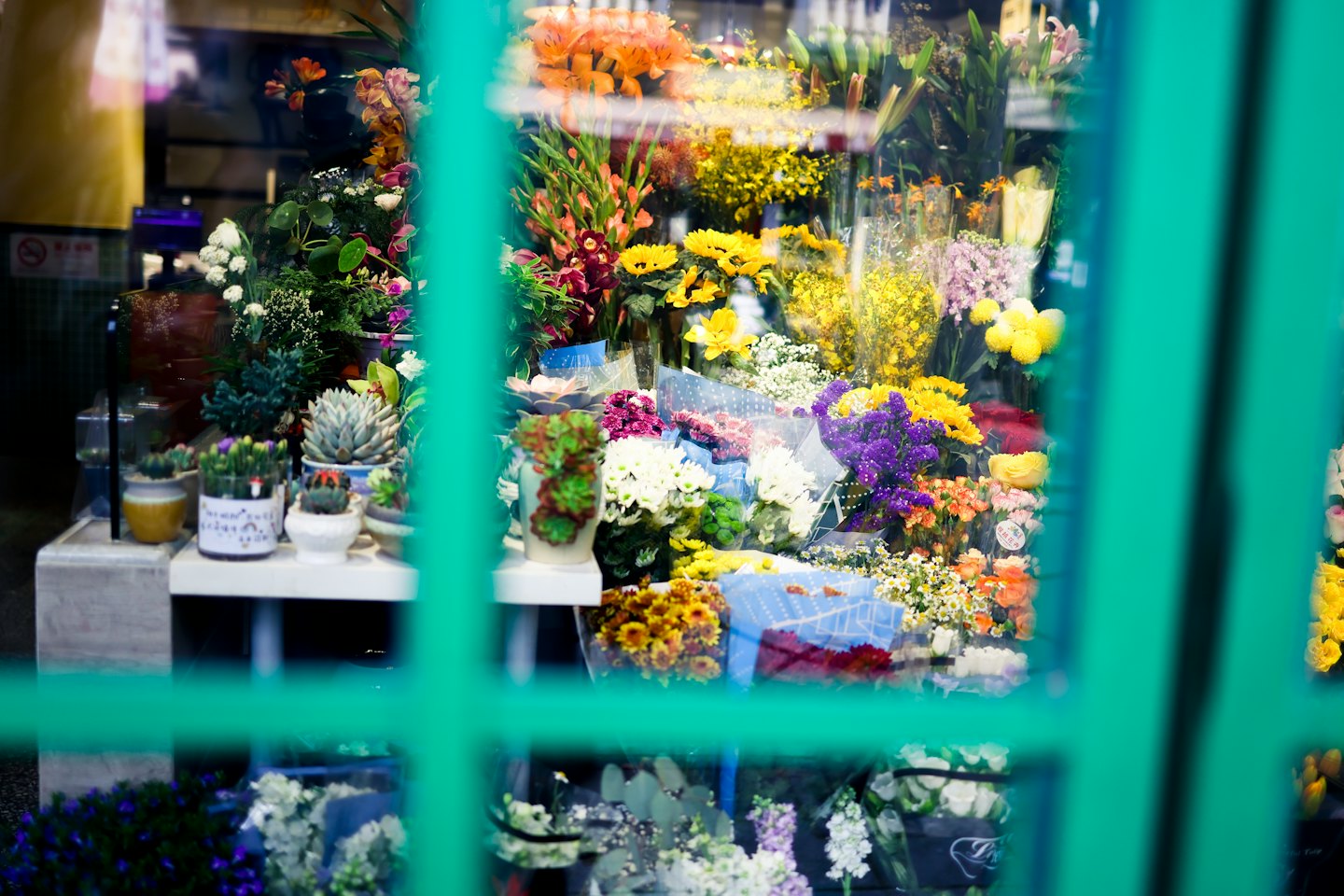 Fresh flowers and potted succulents fill a flower shop window.