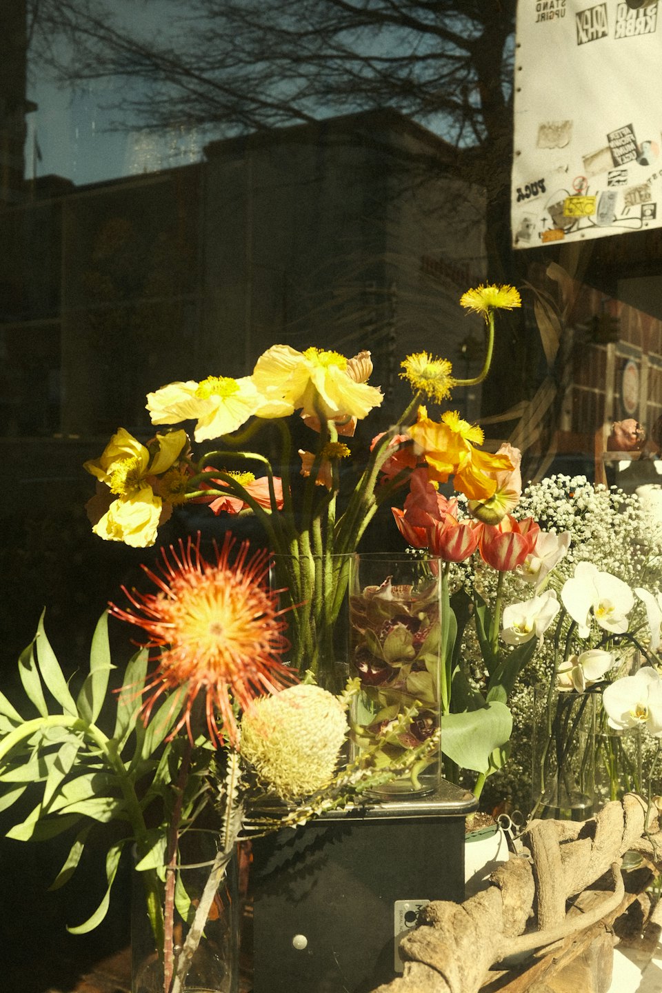 Assorted fresh flowers in glass vases displayed inside a window.